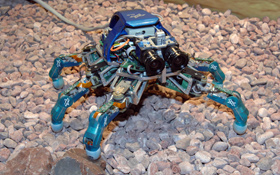 Dieser kleine Roboter läuft auf sechs Beinen. Er ist die Vorstufe für künftige Laufroboter zur Erforschung anderer Planeten. Bild: DLR