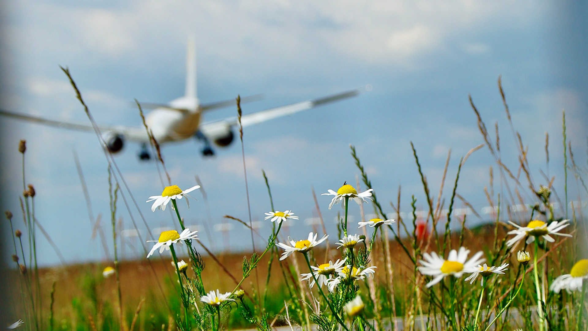 Flugzeug startet in den Urlaub