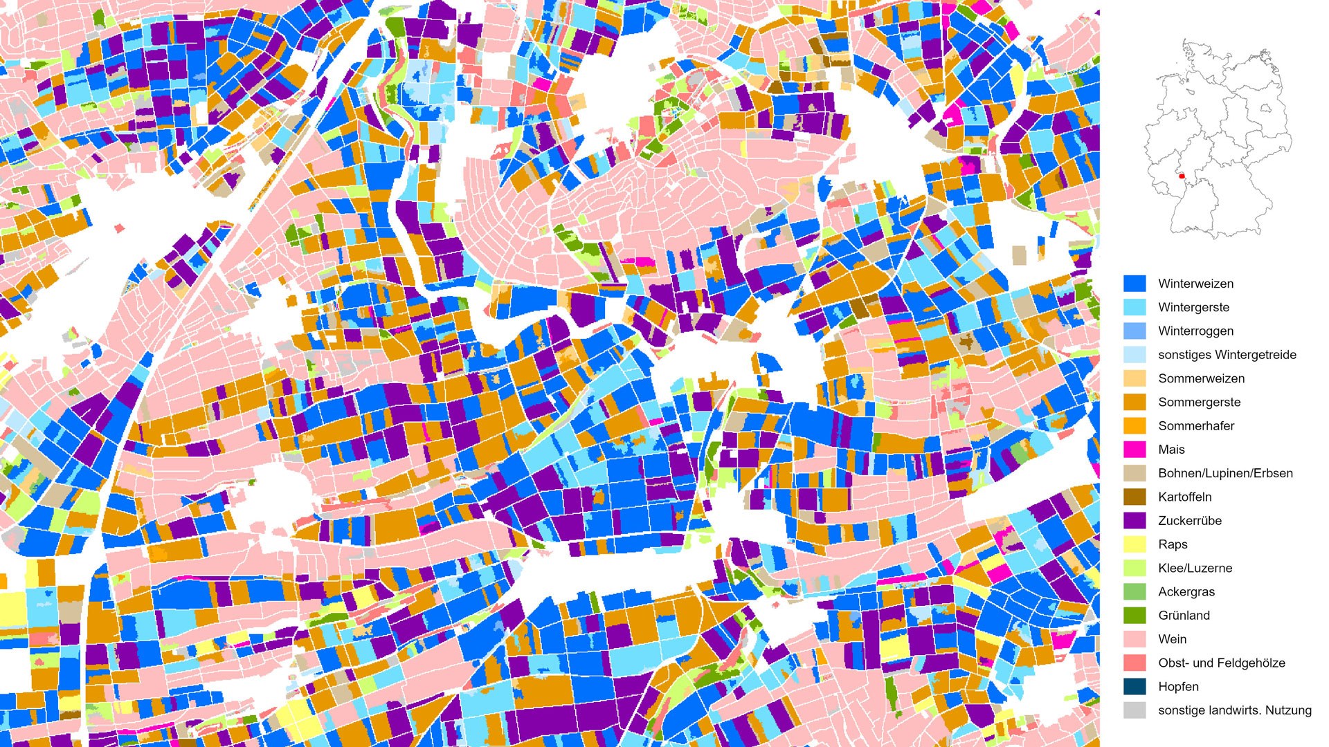 Die Kartierung zeigt die kultivierten Feldfrüchte und landwirtschaftlichen Hauptnutzungsarten in Deutschland mit einer Auflösung von zehn Metern. In dieser Darstellung für das Jahr 2020 ist eine kleinräumige Agrarlandschaft in Rheinhessen südlich von Mainz zu sehen. Neben den Rebflächen (rosa) in Deutschlands größtem Weinbaugebiet finden sich vor allem Zuckerrüben (lila), Weizen (blau), sowie Winter- und Sommergerste (hellblau und braun).