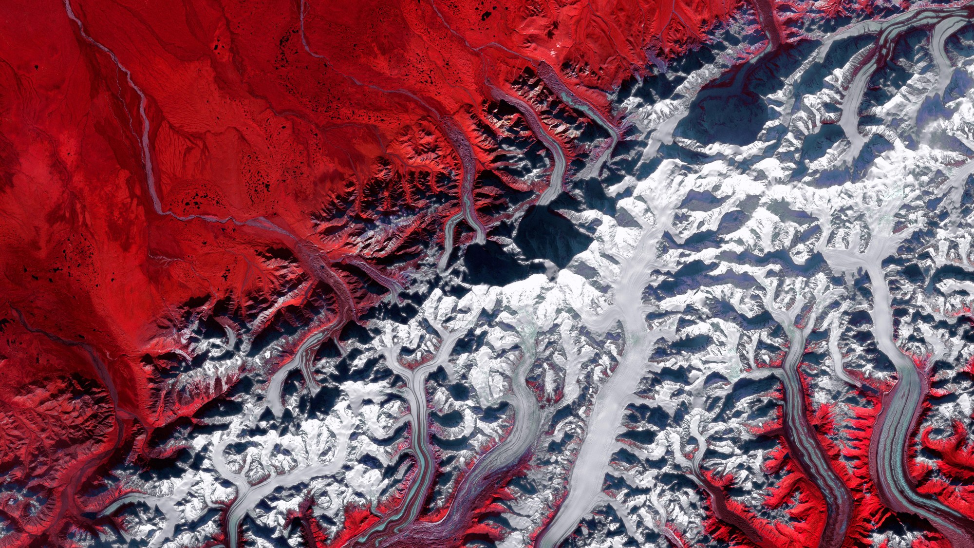 Der Denali - der höchste Gipfel Nordamerikas