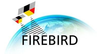 Logo der Mission FireBIRD