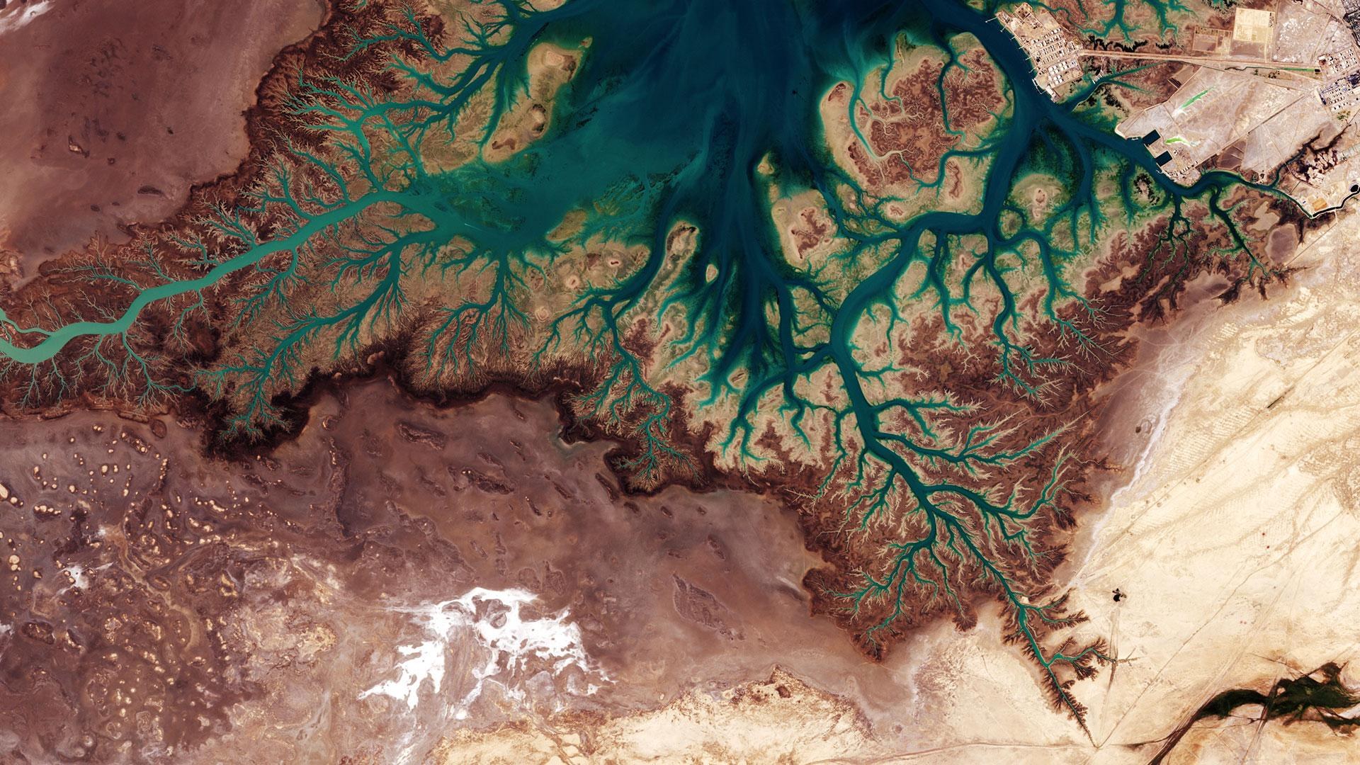 Die Musa-Bucht im Iran mit verästeltem Talnetzwerk
