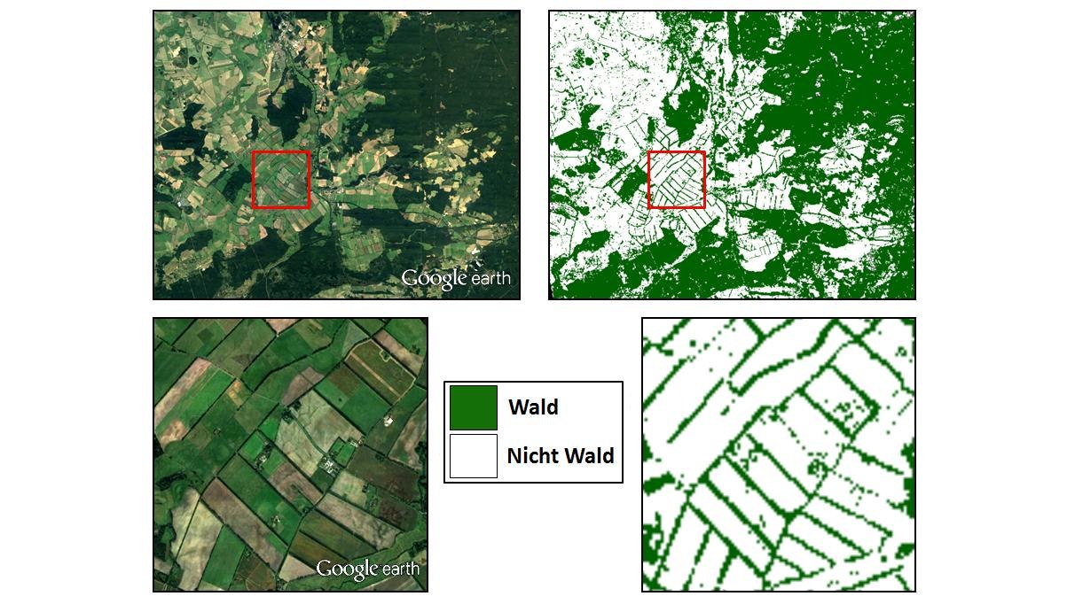 TDX-Waldkarte: Details über Süddeutschland