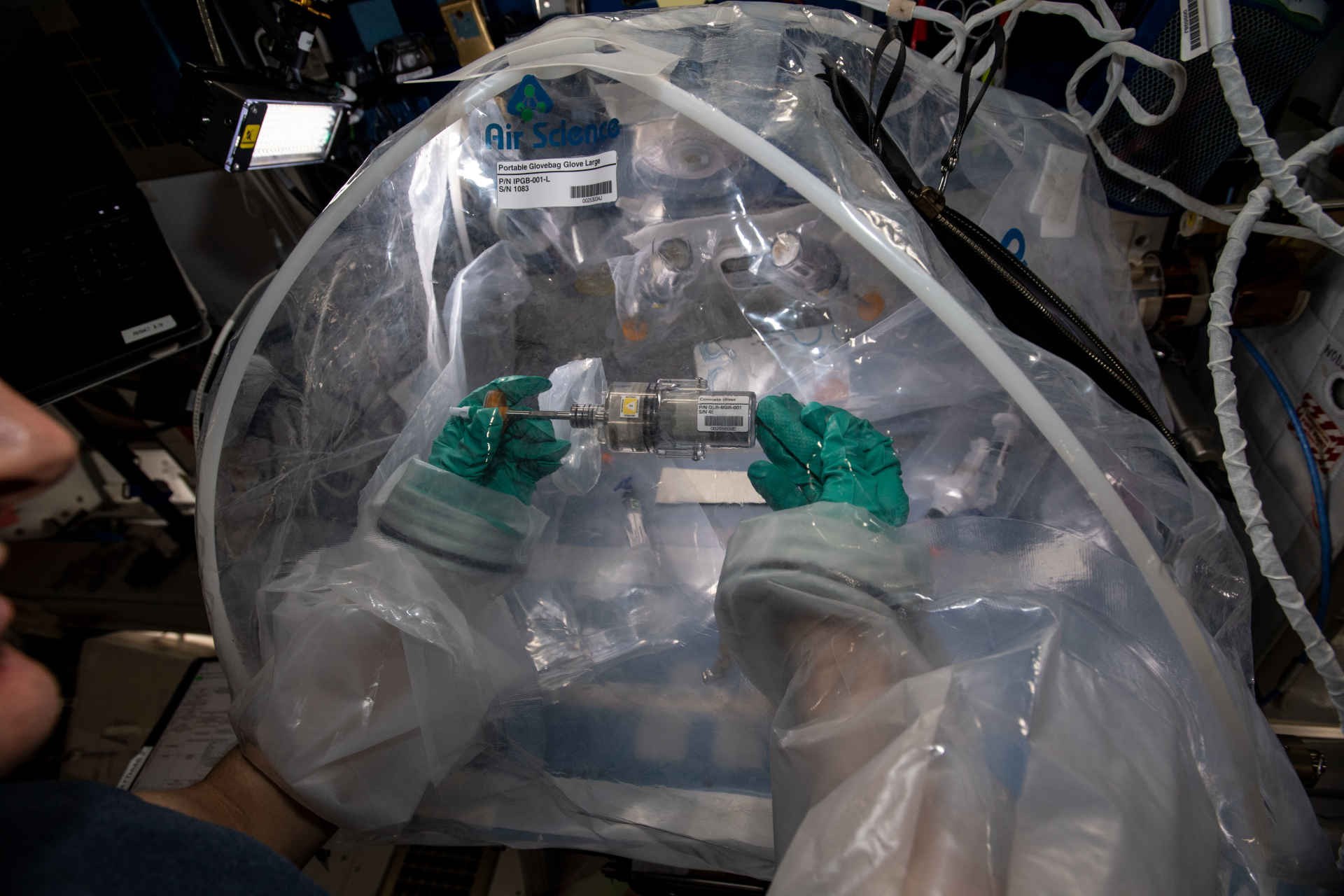 Zum Schutz vor Verunreinigung der Raumstation wird das Experiment in einer Handschuhkiste /Glove Box durchgeführt