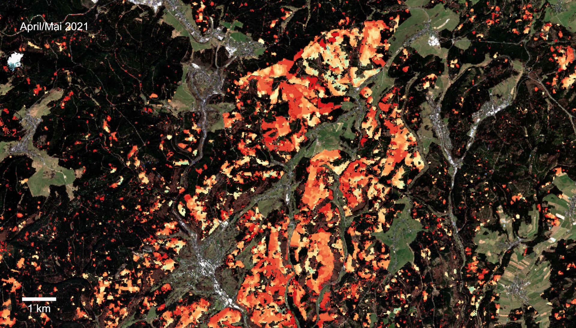 Satellitenbild der Kahlschlagregionen in Steinach