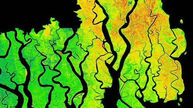 Höhenmodell des Mangrovenwaldgebiets Sundarbans
