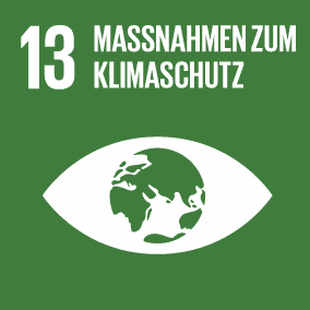 Logo zur DSG 13 der UN: Maßnahmen zum Klimaschutz