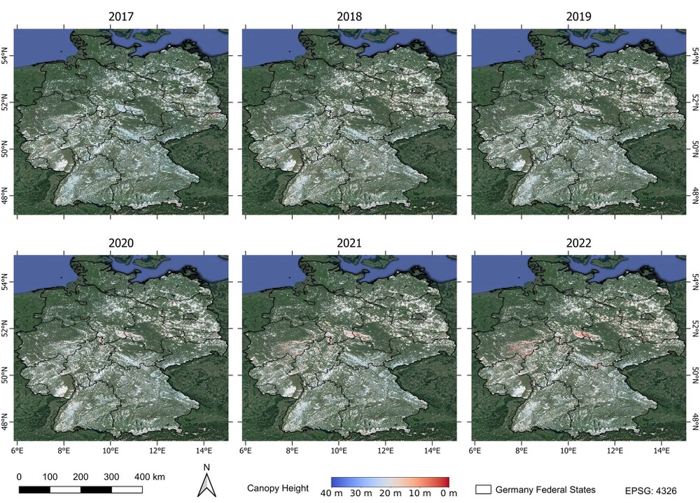 Erste konsistente Waldstrukturerhebung für Deutschland von 2017 bis 2022