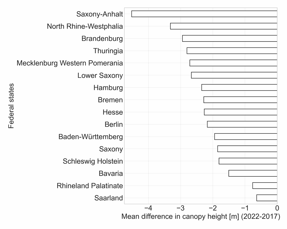 Erste konsistente Waldstrukturerhebung für Deutschland von 2017 bis 2022