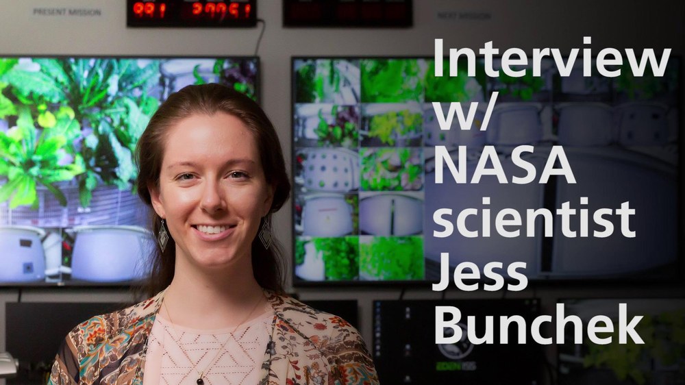 Jess Bunchek im Interview (engl.)