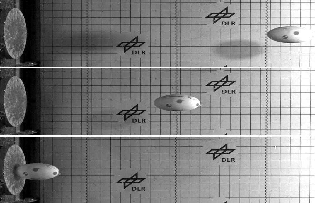 Experimental investigation of DLR artificial bird RAB MK2