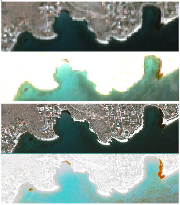 Oil on Greek Beaches: Copernicus Data Reveal Pollution