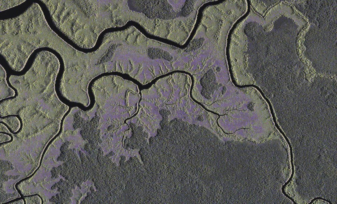 TerraSAR-X image of Gabon, 60 kilometres south east of the capital Libreville
