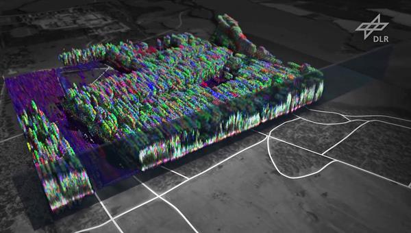 Polarimetric radar tomography: Biomass (medium resolution)