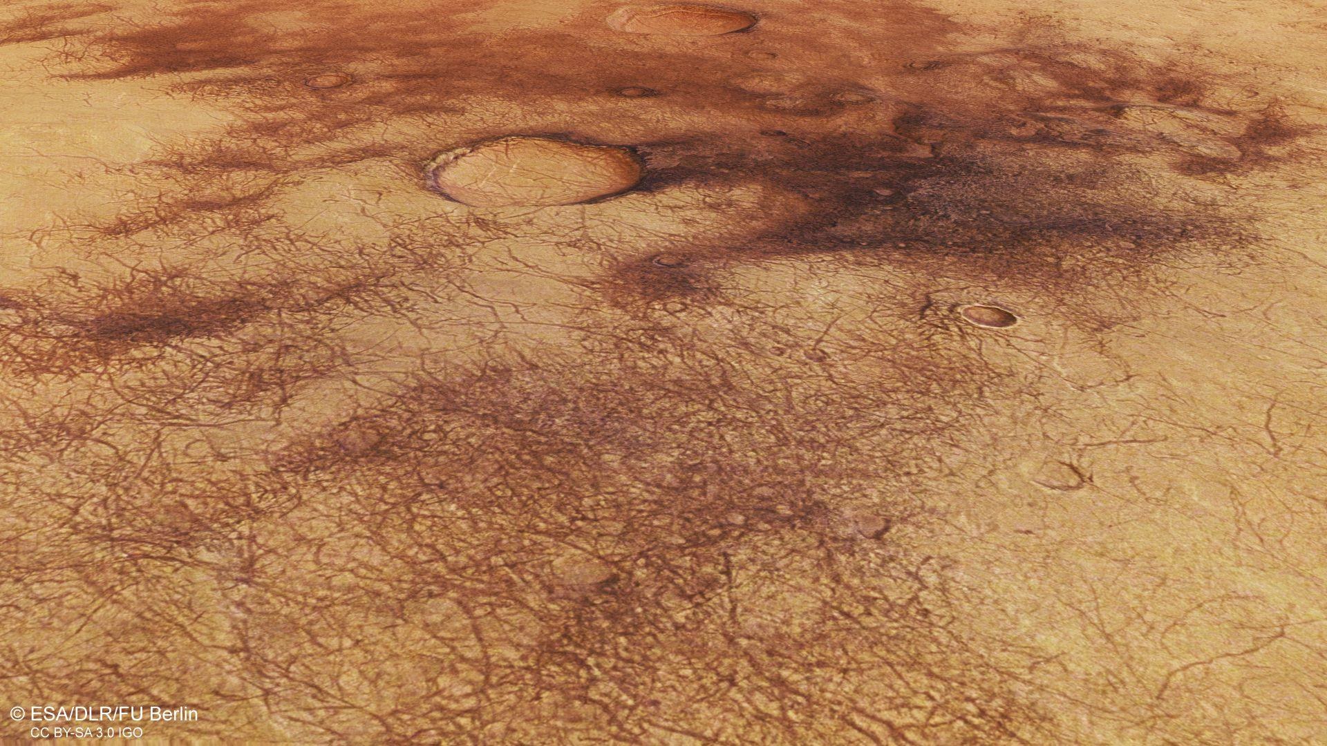 Perspective view of dust devil tracks in Chalcoporos Rupes
