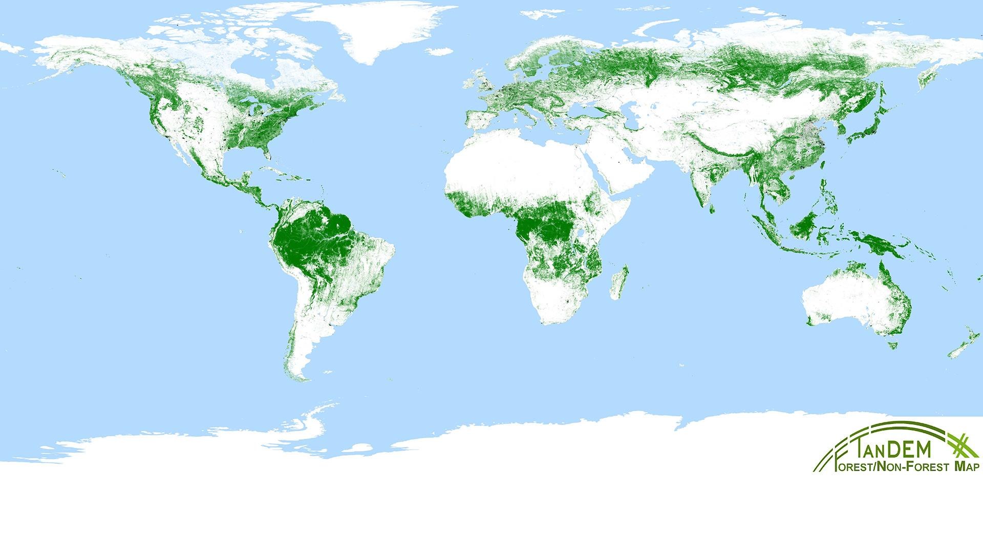 Global TanDEM-X forest map