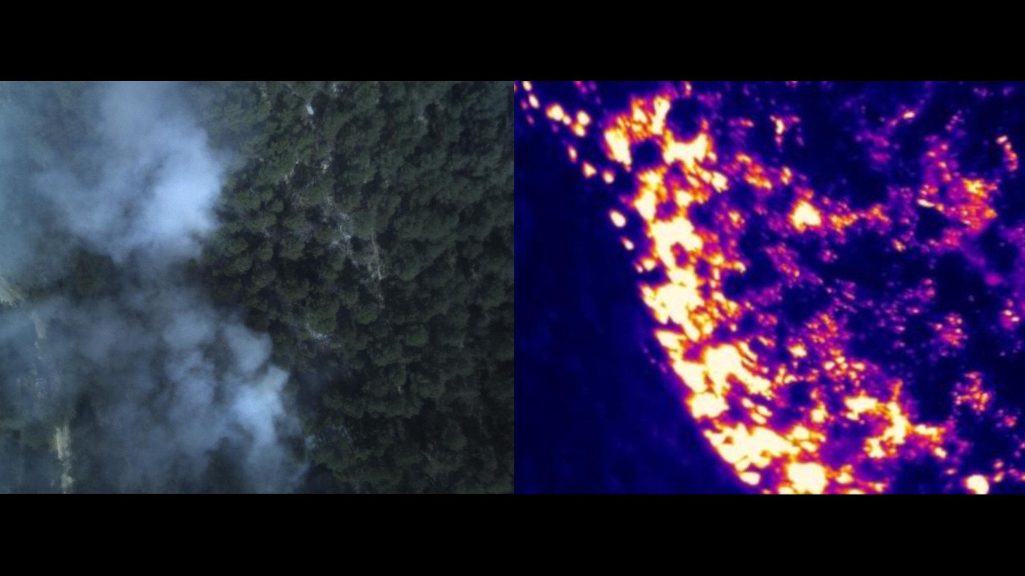 Forest fire from the perspective of a drone