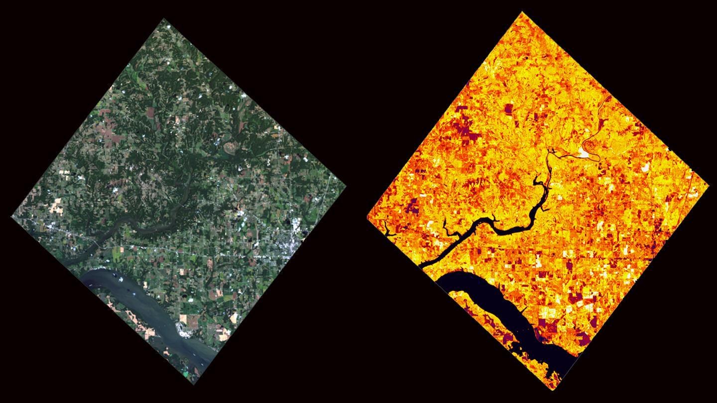 First images of the hyperspectral instrument DESIS