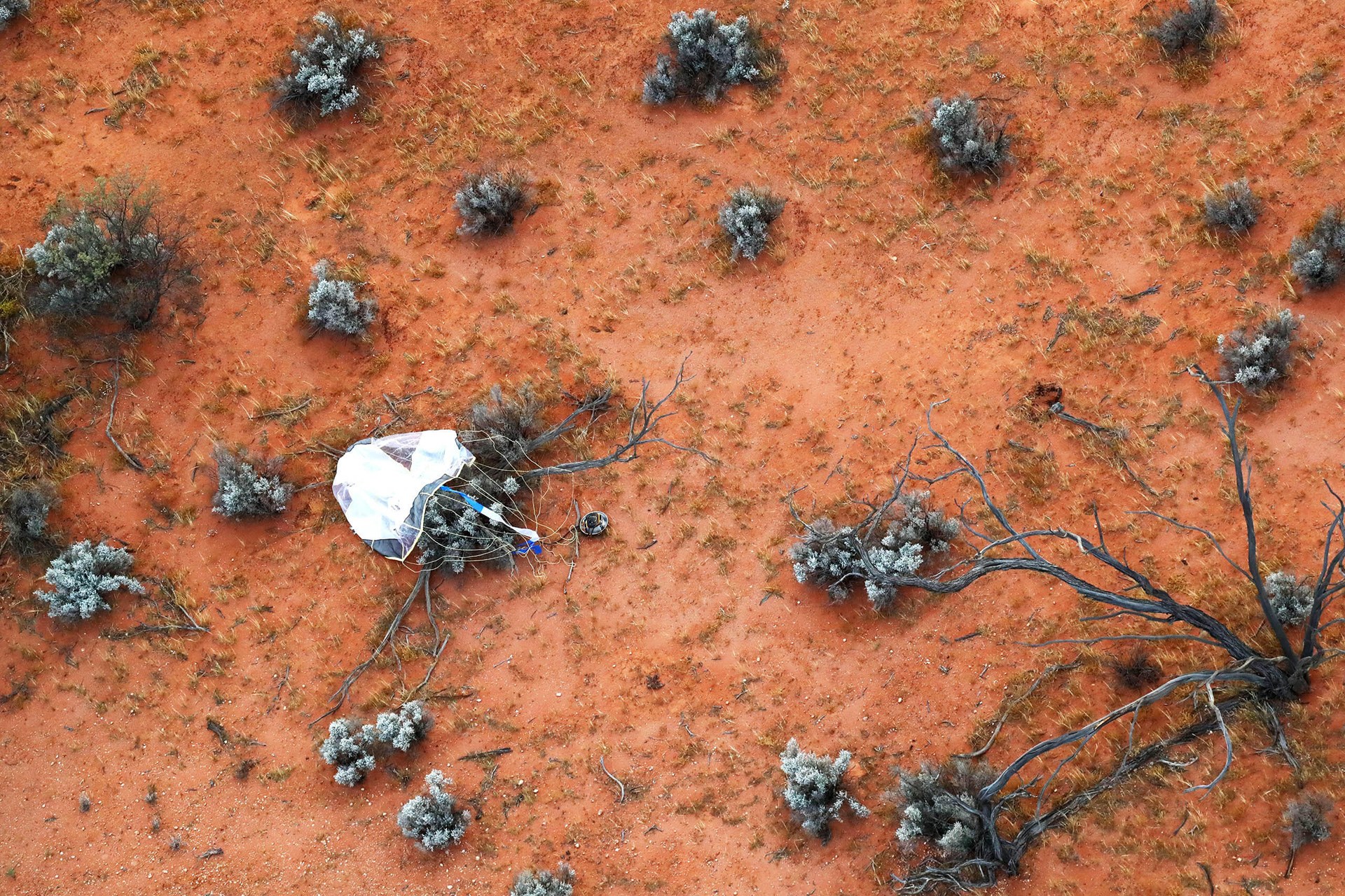 Hayabusa2 sample capsule after landing in Australia