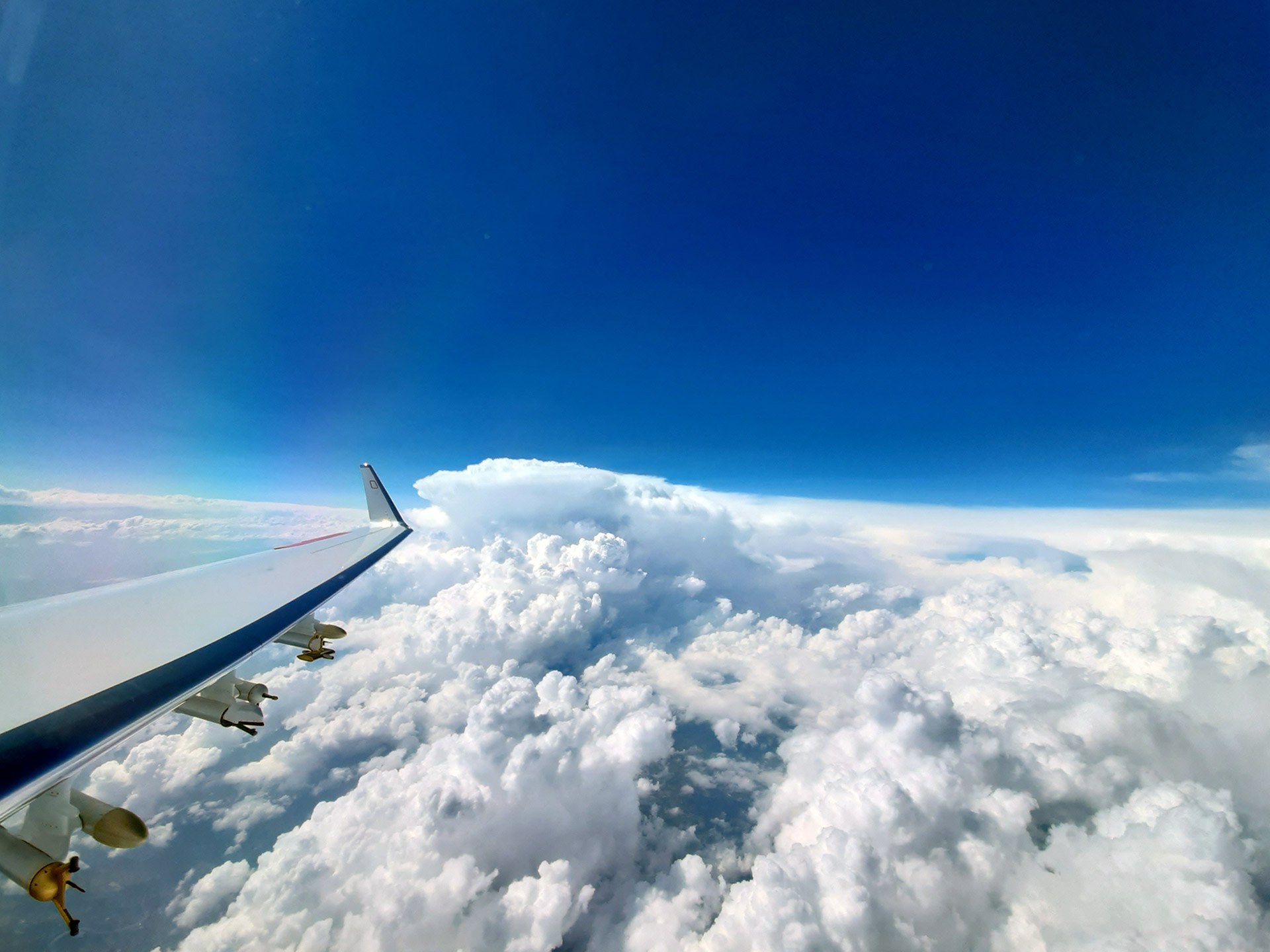 Window view in flight