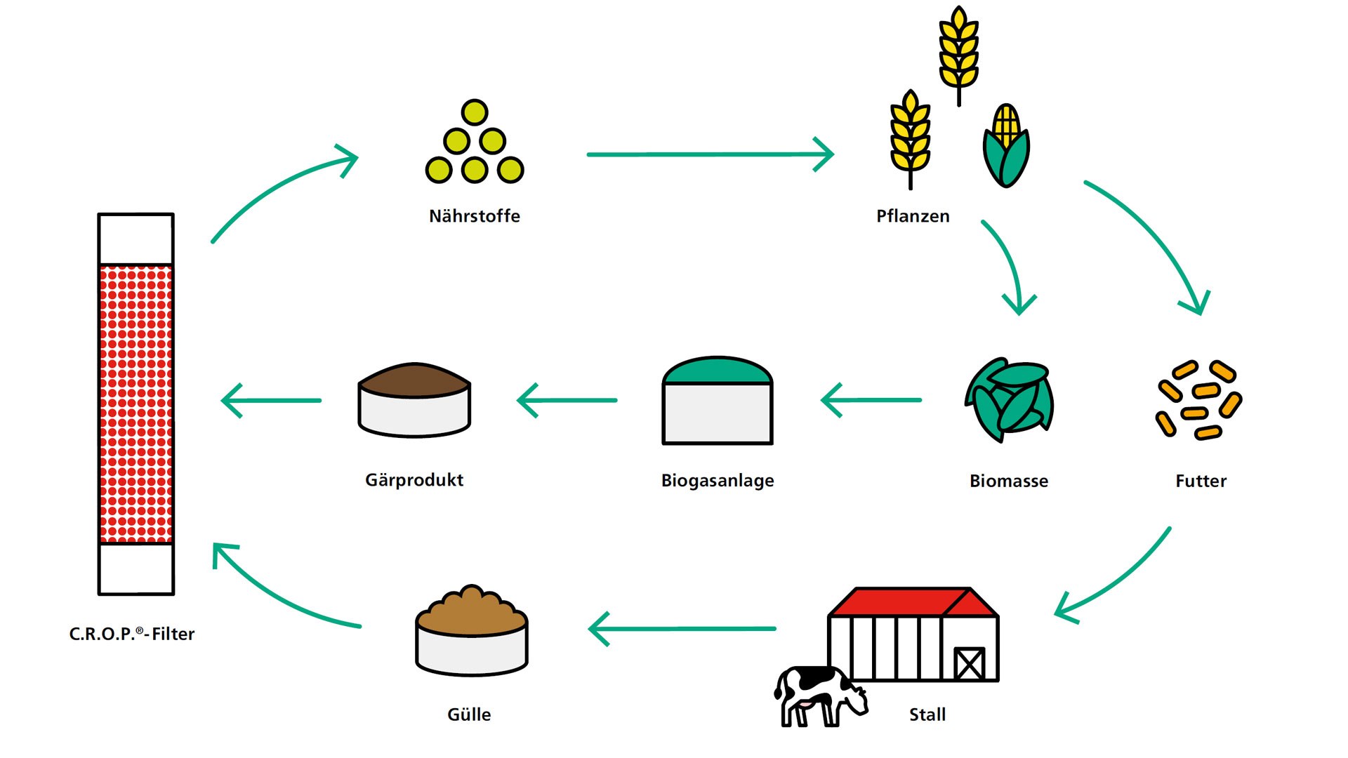 Integration into agricultural cycles