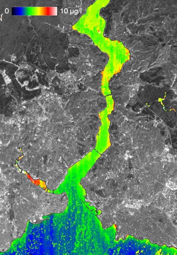 Chlorophyll concentration in the Bosporus