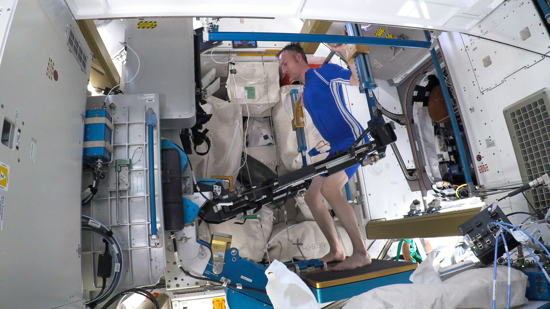 Versatile training in microgravity with the EMS suit