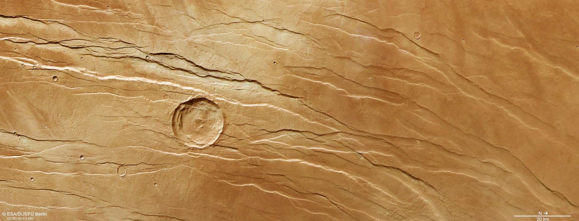 Vertical plan view of part of the Tantalus Fossae graben system