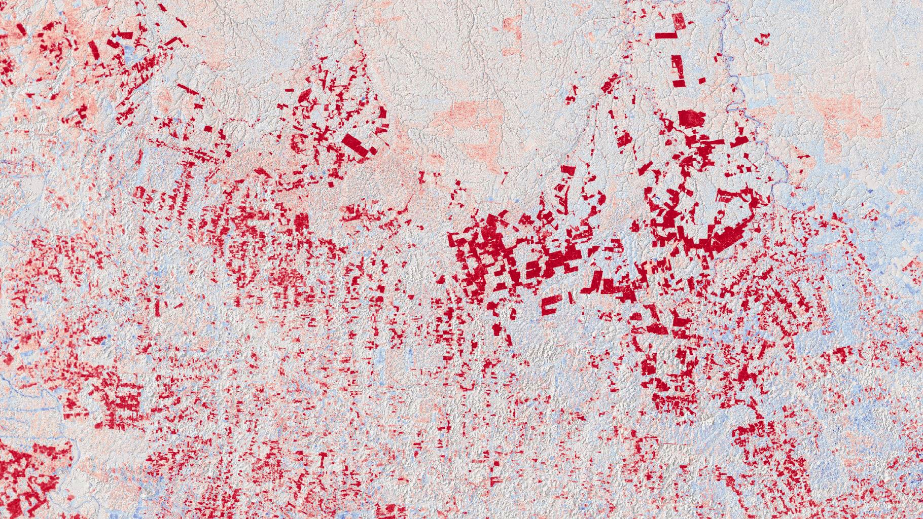 Deforestation, Brazil