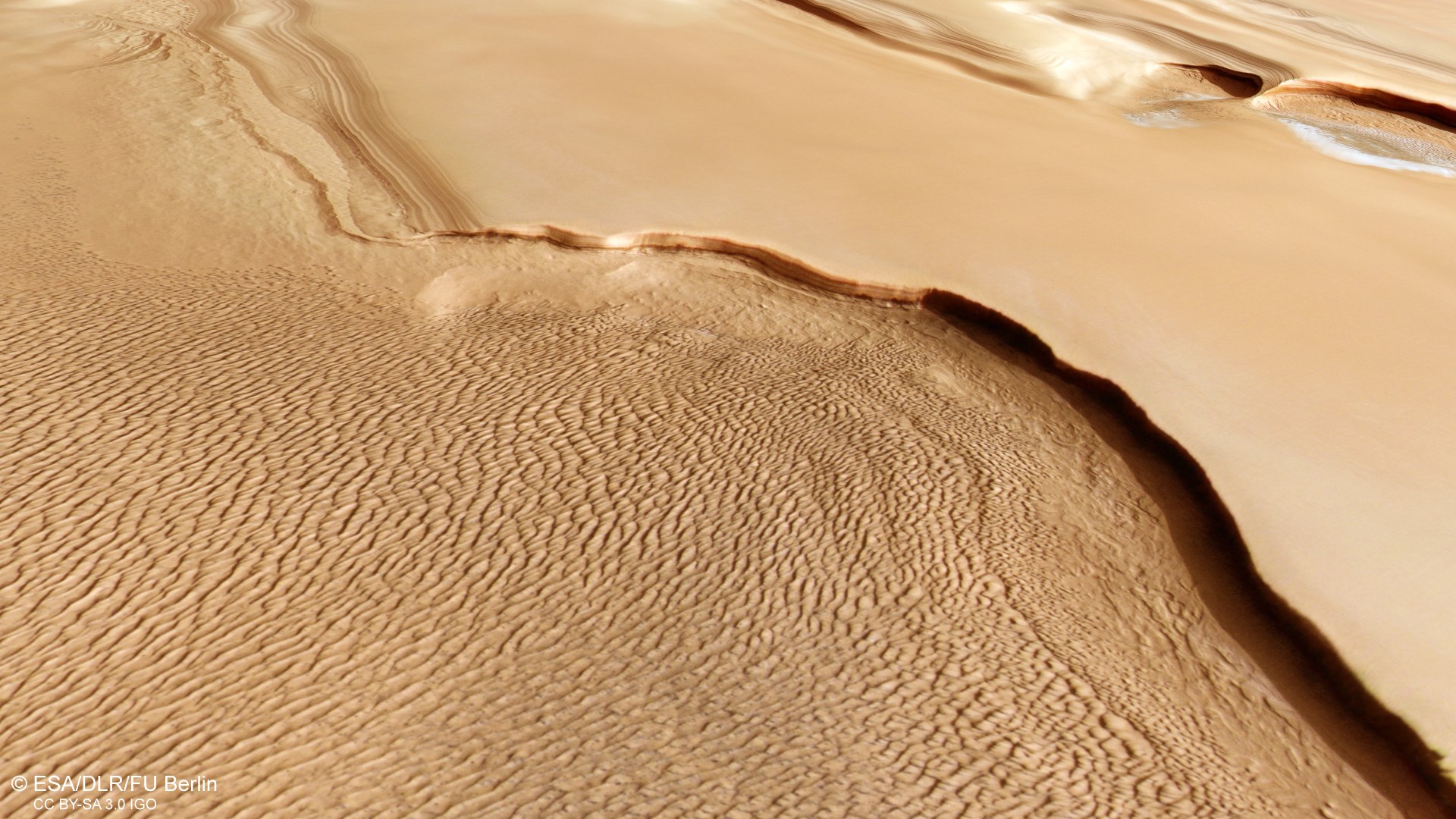 Dune fields, ice and sediments in Olympia Planum