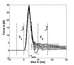 Typical Position Perturbation Profile