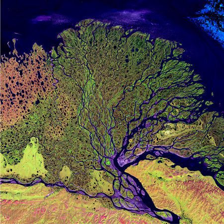 Ein riesiges Delta. 
Bild: Landsat, NASA 