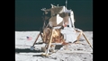Auf dem Mond. Flagge und erste Experimente aufgestellt. Bild: NASA